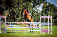 Class 5 Riders Ball - Open 1.20