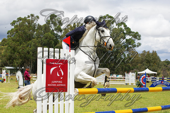 IMGP5093