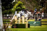 1. Pendrey Agencies Open 110cm AM2
