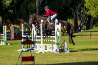 Class 21 Equineworld Amature B Classic