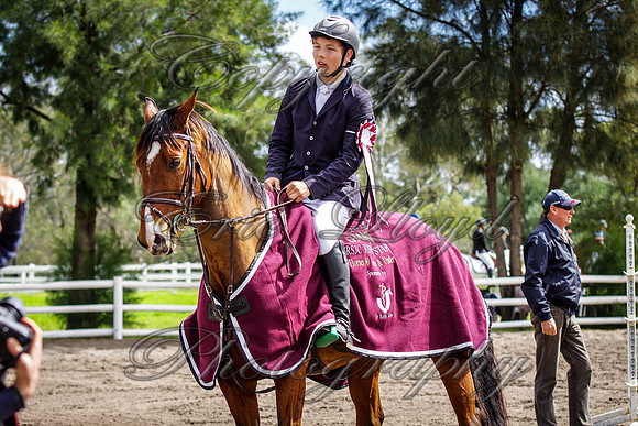 IMGP4908