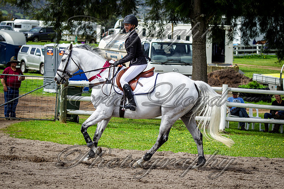 IMGP5017