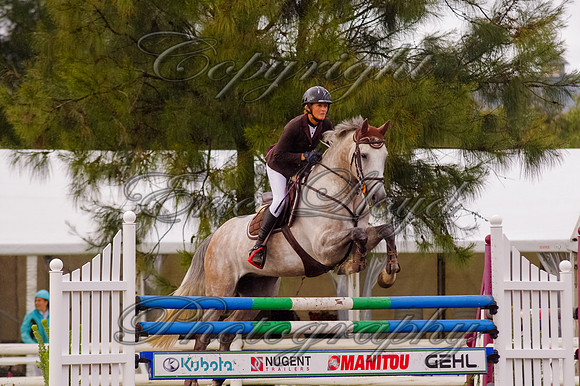 IMEL1334