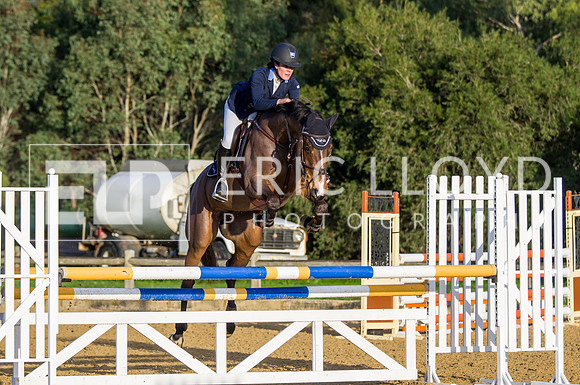 ERIC0960