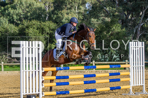 ERIC1129