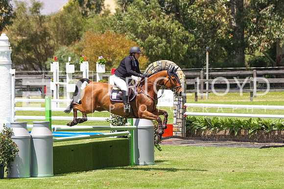 IMGP9033