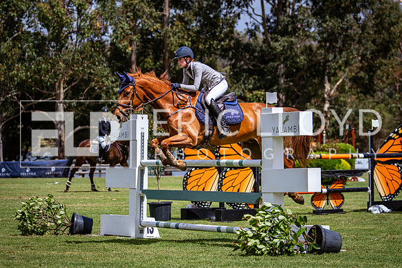 IMGP2959