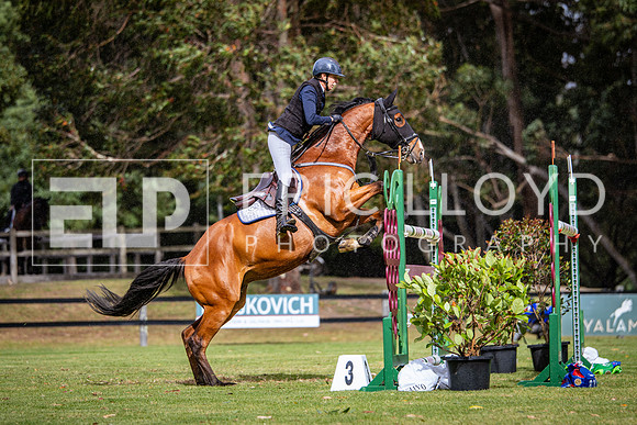 IMGP3613
