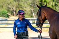 DSCF3963