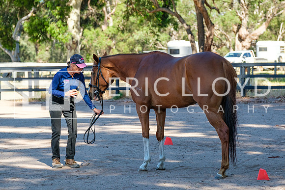 DSCF3966