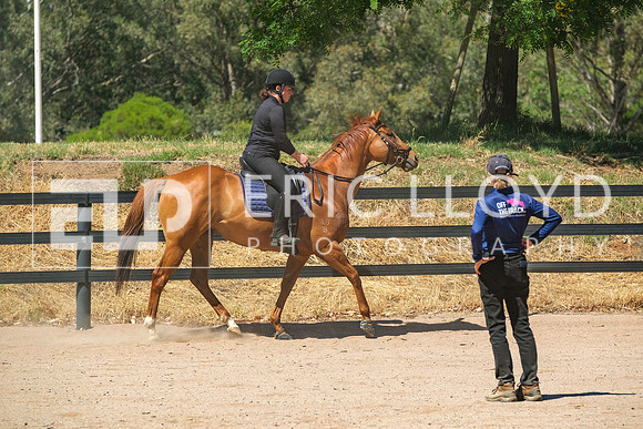 DSCF4475