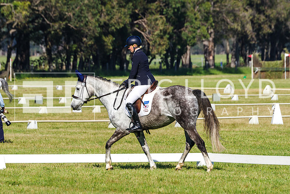 IMGP0598