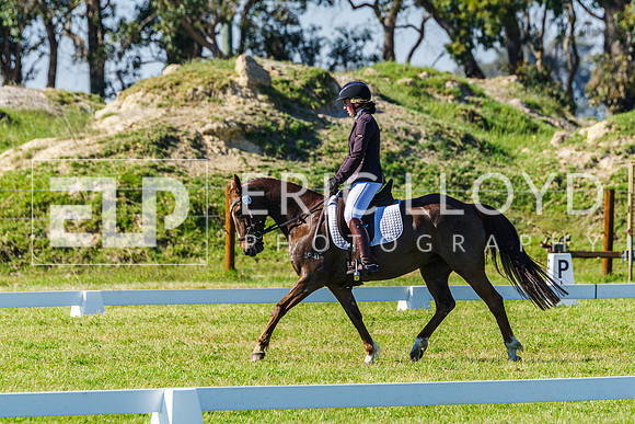 IMGP0667