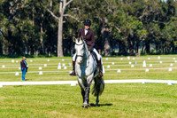 IMGP0633