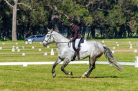 IMGP0634