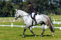 IMGP0628