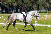 IMGP0622