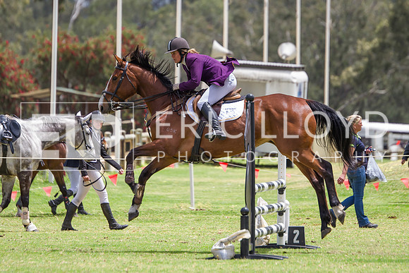 IMGP4188