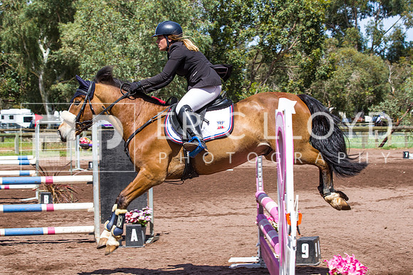 Taminga-1817