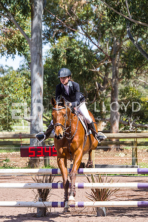 Taminga-1785