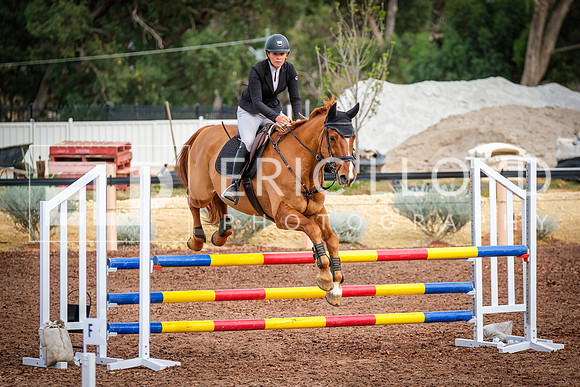 DSCF6801