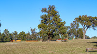 IMGP7732