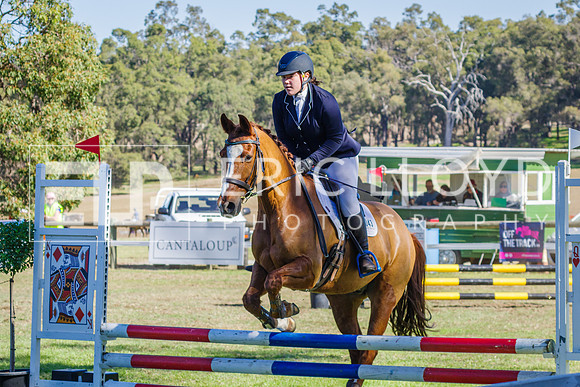 IMGP7959