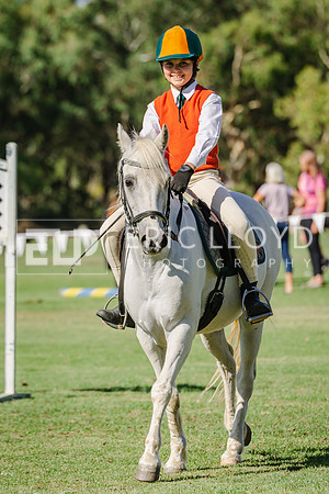 IMGP3369