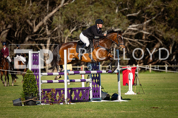 IMGP3649