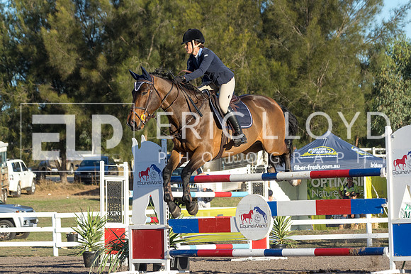 ERIC7461