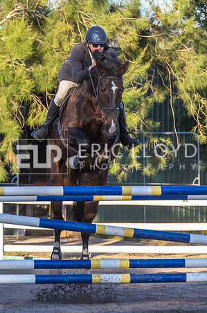 ERIC7544