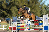 ERIC7460