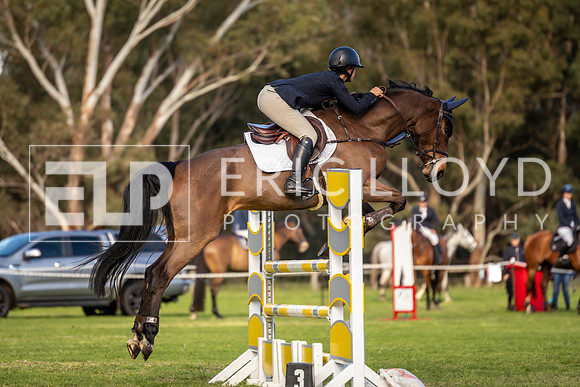 IMGP6995