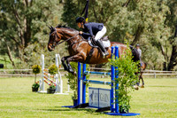 3. Horseland Midland 1.15m AM5