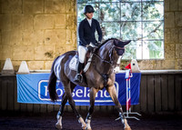 CLASS 3C 6-YEAR OLD HORSES