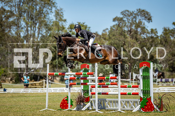 ROYL0051