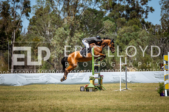 ROYL0038