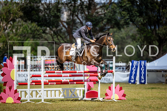 ROYL0519