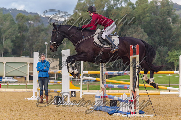IMJL8012