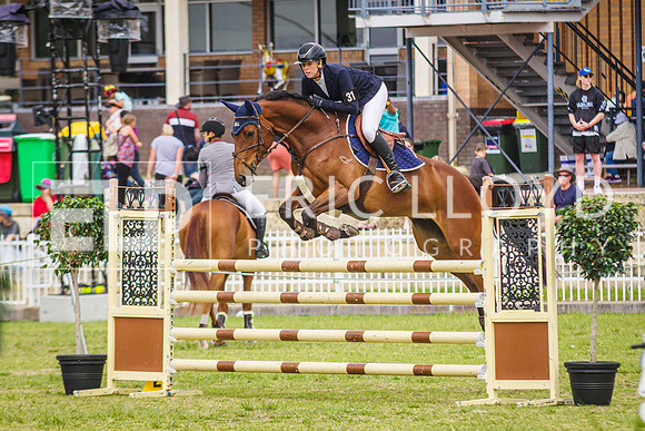 IMGP7506