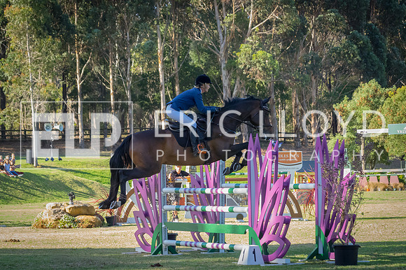 ERIC1354