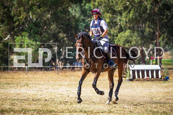 IMGP7270