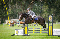 9b. Champion Lakes Tavern Open 75cm 238.2.2 (AM5)