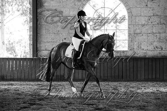Brookleigh-0673