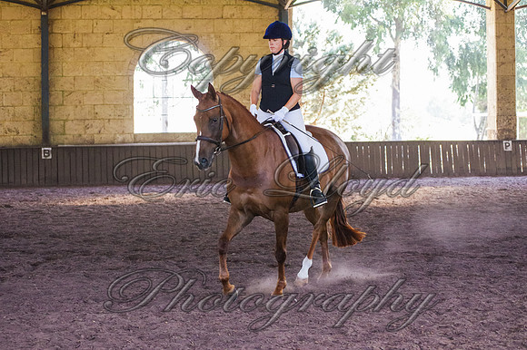 Brookleigh-0631