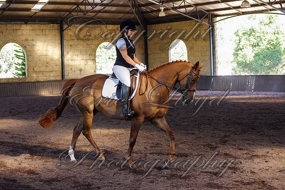 Brookleigh-0637