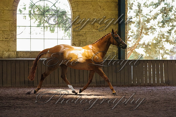 Brookleigh-0078