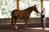 Brookleigh-0035