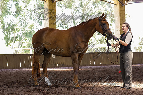 Brookleigh-0035