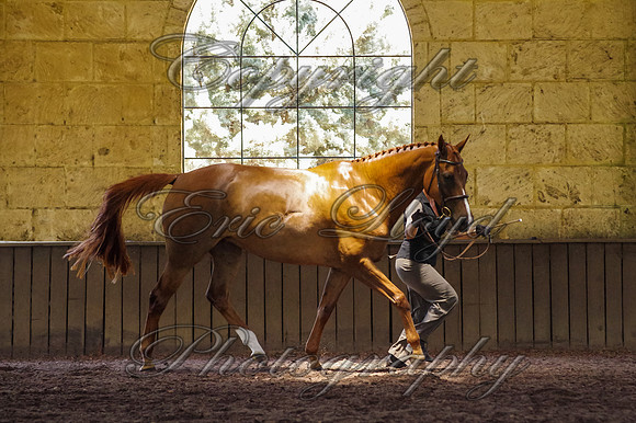 Brookleigh-0048